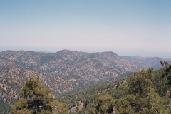 10AA008