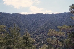 10AA009