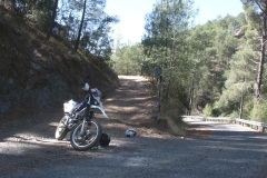 DCF 1.0