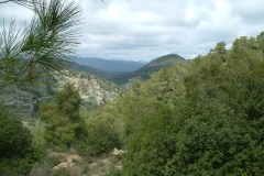 1_DSCF0004