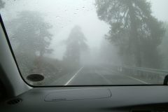 1_DSCF0056
