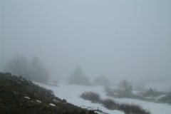 1_DSCF0079