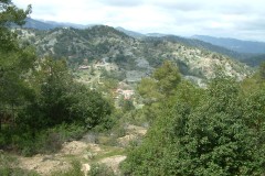 DSCF0003