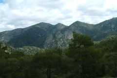 DSCF0009
