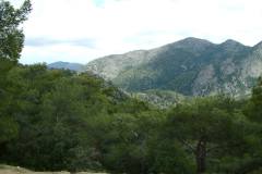 DSCF0010