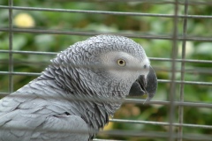 DSCF0017