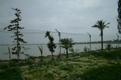 DSCF0024