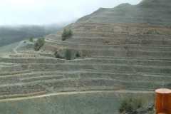 DSCF0046