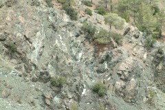 DSCF0047