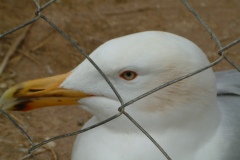 DSCF0058