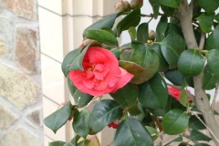 DSCF0080