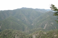 DSCF0089