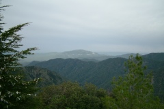 DSCF0100