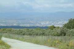 DSCF0121