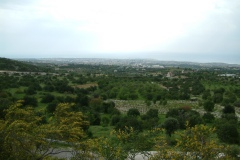 DSCF0150