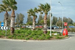 DSCF0154