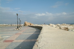 DSCF0174
