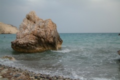 DSCF0231