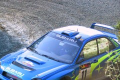 113-1303-solberg