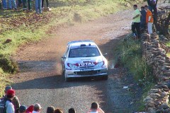 113-1310-rovanpera