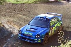 113-1313-makinen