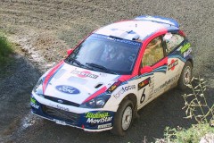 113-1315-martin