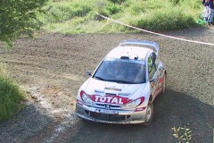 113-1317-gronholm