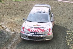 113-1321-panizzi