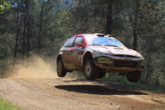 114-1482-sainz