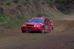 114-1498-girdauskas