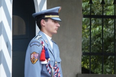 P_PICT0917