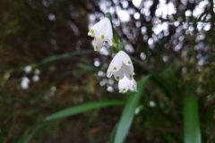 20220916_093936-scaled