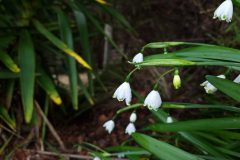20220916_094006-scaled