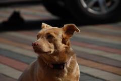 IMG_5689