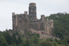 P_PICT1272