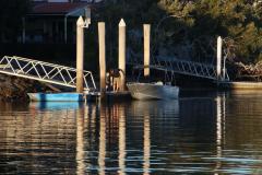 IMG_0028-1024x682