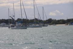 IMG_0329-1024x682