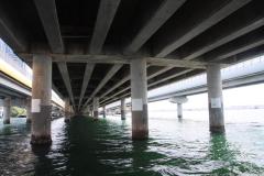 IMG_0572-1024x682