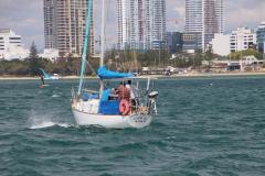 IMG_0767-1024x682