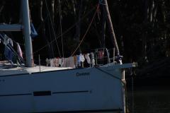 IMG_8799-1024x682