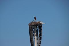 IMG_8855-1024x682