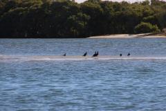 IMG_8904-1024x682