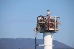 IMG_8992-1024x682