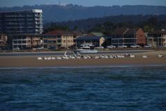 IMG_9071-1024x682