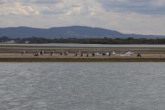 IMG_9477-1024x682