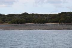 IMG_9509-1024x682