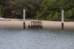 IMG_9525-1024x682