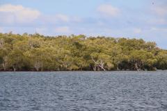 IMG_9741-1024x682