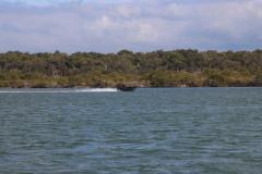 IMG_9773-1024x682