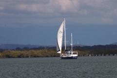 IMG_9876-1024x682